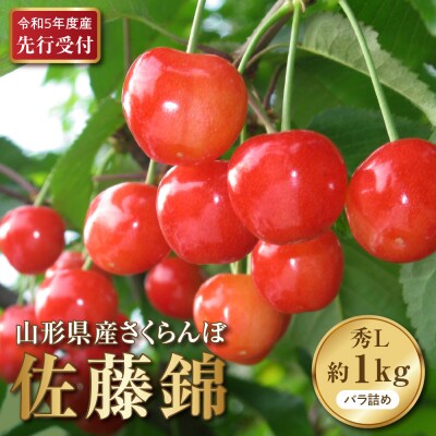<先行受付>令和5年度産さくらんぼ佐藤錦 秀L1kg以上(500gバラ×2パック) | ふるさと納税のお礼品