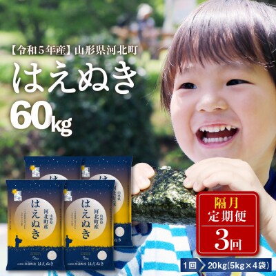 【令和5年産】※2024年1月中旬スタート※ はえぬき 20kg×3回隔月定期便 山形県産