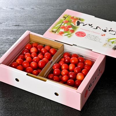 【令和7年産】さくらんぼ「佐藤錦」秀L 1kg【かほくらし社】