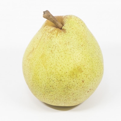 ※数量限定※【令和7年産】洋梨「コミス」2kg【かほくらし社】