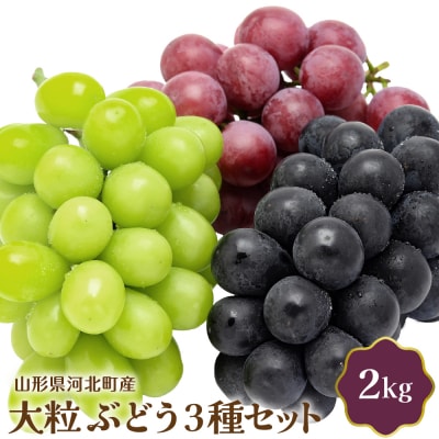 【令和7年産】大粒ぶどう3種セット 2kg 山形県河北町産【JAさがえ西村山】
