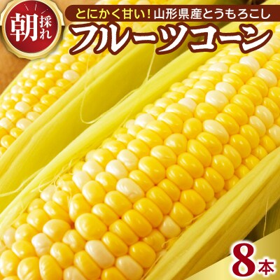 【令和8年産】とにかく甘い、朝採りとうもろこし「フルーツコーン」 8本 【かほくらし社】