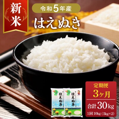 【令和5年産米】2023年12月下旬スタート はえぬき30kg 定期便 山形県産【JAさがえ西村山】 | ふるさと納税のお礼品