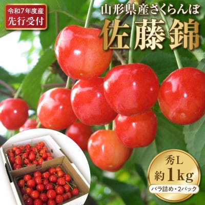 【令和7年産】さくらんぼ佐藤錦 秀L1kg以上(500gバラ詰め×2パック)山形県河北町産【晴天畑】