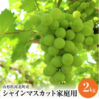 【令和8年産】ご家庭用シャインマスカット 2kg(2～4房) 山形県河北町産【JAさがえ西村山】