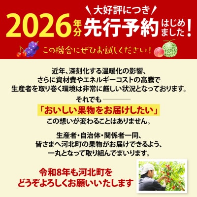 ※2026年発送※【令和8年産】山形県産 8種類 旬のフルーツ定期便(計8回) さくらんぼ ぶどう等