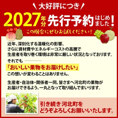 【令和9年産】※2027年スタート※ 山形県産 8種類 旬のフルーツ定期便 (計8回)