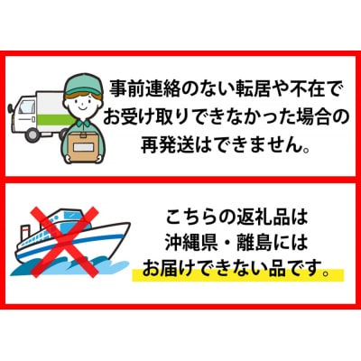 【イタリア野菜1kg・レシピ付き】トレヴィーゾ・タルティーボ 5～8株入り 山形県河北町産