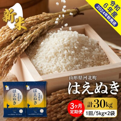 【令和6年産米】2024年12月下旬スタート はえぬき30kg(10×3ヶ月)定期便 山形県産