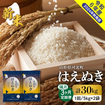 【令和6年産米】2024年11月下旬スタート はえぬき30kg(10kg×隔月3回)定期便 山形県産