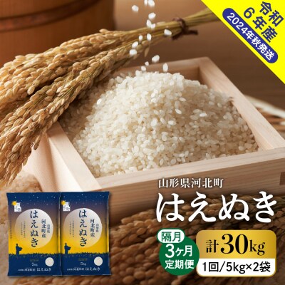【令和6年産米】2025年1月中旬スタート はえぬき30kg(10kg×隔月3回)定期便 山形県産