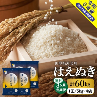 【令和6年産米】2025年1月上旬スタート はえぬき60kg(20kg×隔月3回)定期便 山形県産