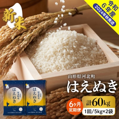 【令和6年産米】2024年12月上旬スタート はえぬき60kg(10kg×6ヶ月)定期便 山形県産