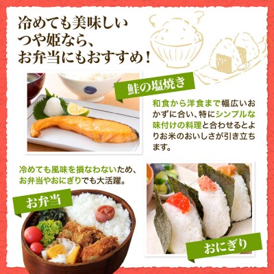 【令和8年産米】2027年1月上旬スタート つや姫30kg(10kg×3ヶ月)定期便 山形県産