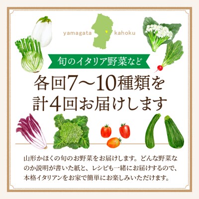 ※2025年6月発送開始【計4回定期便】山形県かほくの季節のイタリア野菜・地元野菜のおまかせセット