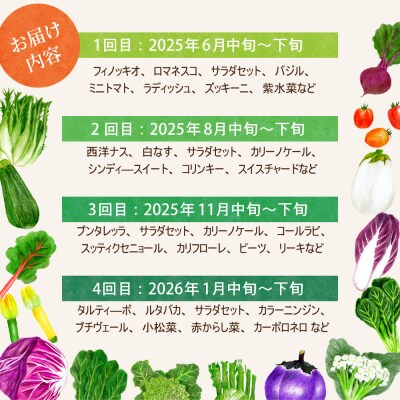 ※2025年6月発送開始【計4回定期便】山形県かほくの季節のイタリア野菜・地元野菜のおまかせセット