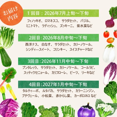 ※2026年7月発送開始【計4回定期便】山形県かほくの季節のイタリア野菜・地元野菜のおまかせセット