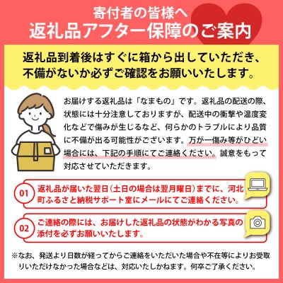 ※2025年6月発送開始【計4回定期便】山形県かほくの季節のイタリア野菜・地元野菜のおまかせセット