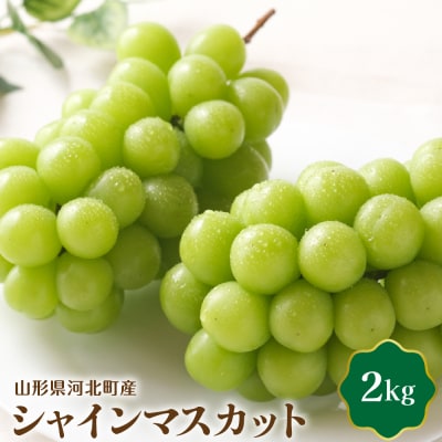 【令和8年産】シャインマスカット 2kg(2～4房) 山形県河北町産【JAさがえ西村山】