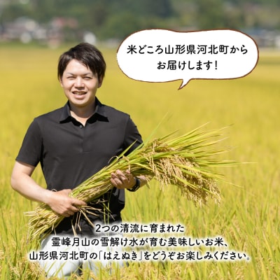 【令和6年産米】2025年4月中旬発送 はえぬき5kg 山形県産 【JAさがえ西村山】