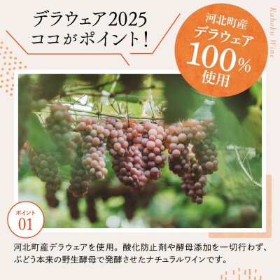 【河北町産ぶどう100%使用・微発泡デラウェアワイン】Delaware 2025(750ml×1本)