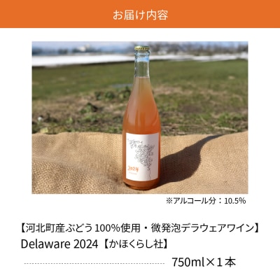 【河北町産ぶどう100%使用・微発泡デラウェアワイン】Delaware 2024(750ml×1本)