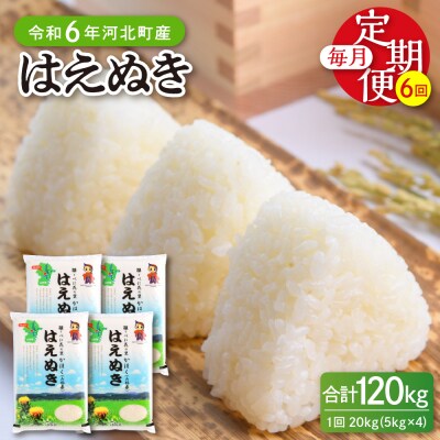 【令和6年産米】2025年3月下旬開始 はえぬき120kg(20kg×6ヶ月)定期便 山形県産