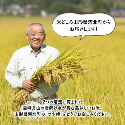 【令和6年産米】2025年4月下旬開始 つや姫30kg(10kg×3回)隔月定期便 山形県産