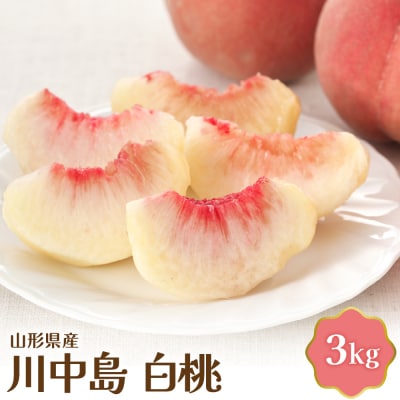 【令和7年産】 川中島白桃 3kg【JAさがえ西村山】