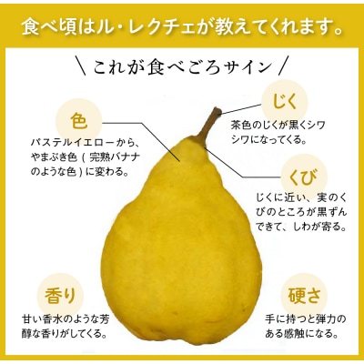※数量限定※【令和7年産】洋梨「ル・レクチェ」3kg【かほくらし社】