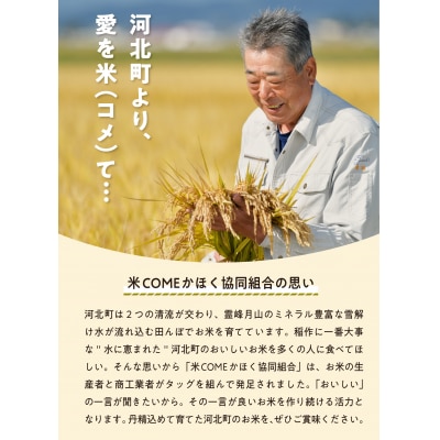 【令和8年産米】2027年4月下旬発送 雪若丸 10kg 山形県産 【米COMEかほく】