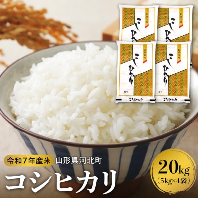 【令和7年産米】2026年4月下旬発送 コシヒカリ 20kg 山形県産 【米COMEかほく】