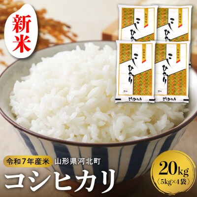 【令和7年産米】2026年1月上旬発送 コシヒカリ 20kg 山形県産 【米COMEかほく】