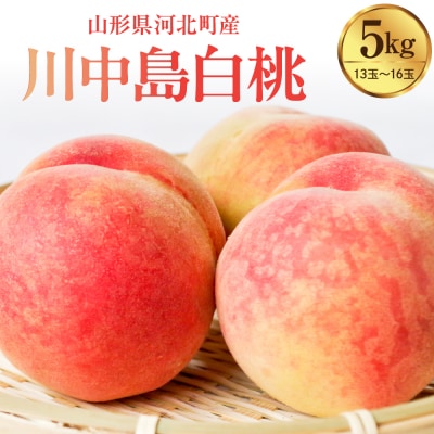 �y�ߘa8�N�Y�z�쒆������ 5kg(���G 13�ʁ`16��)�R�`���͖k���Y