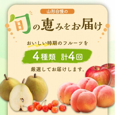 ※2026年発送※【令和8年産】山形県産 4種類 旬のフルーツ定期便(計4回)