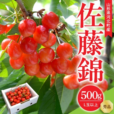 【令和7年産】さくらんぼ 佐藤錦 500g L玉以上 ギフト箱入 秀品 山形県産【山形eLab】