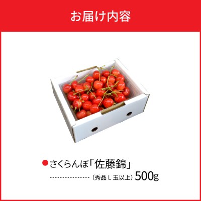  【令和7年産】さくらんぼ 佐藤錦 500g L玉以上 ギフト箱入 秀品 山形県産【山形eLab】