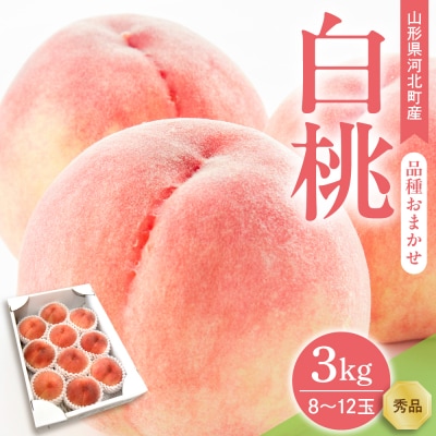 【令和8年産】白桃 品種おまかせ 3kg (8～12玉前後) ギフト箱入 秀品 山形県産