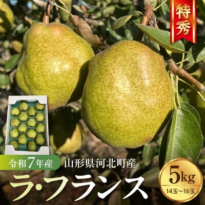 【令和7年産】 洋梨「ラ・フランス」 特秀 約5kg 山形県河北町産 【河北町観光物産協会】