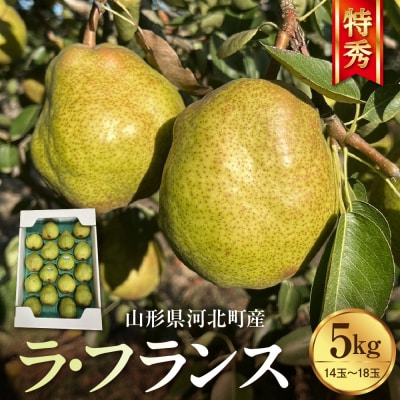 【令和8年産】食べ頃がわかる! 洋梨「ラ・フランス」 特秀 約5kg 山形県河北町産