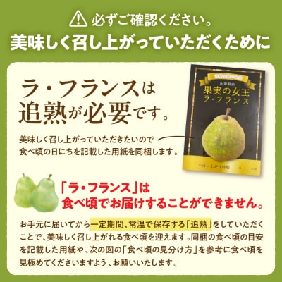 【令和7年産】 洋梨「ラ・フランス」 特秀 約5kg 山形県河北町産 【河北町観光物産協会】