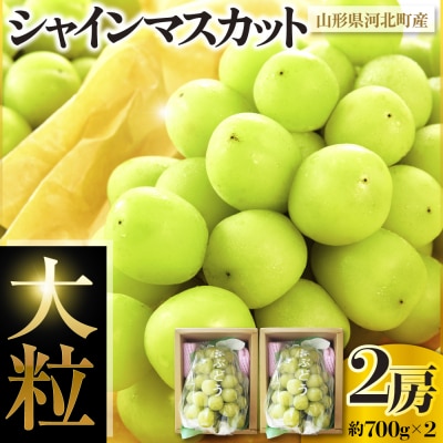 �ߘa8�N�Y�y�͂��܂�_�� ���́z�嗱 �V���C���}�X�J�b�g2�[(��700g×2�[) �R�`���͖k���Y