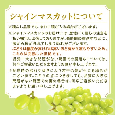 令和8年産【はじまり農園 うの】大粒 シャインマスカット2房(約700g×2房) 山形県河北町産