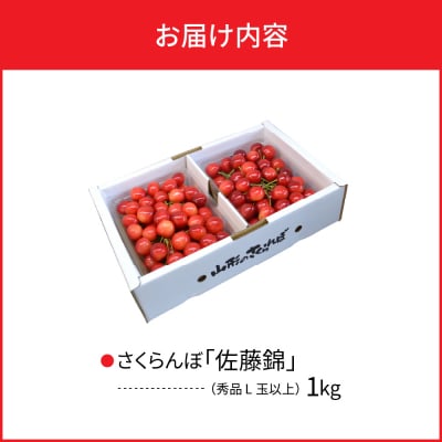  【令和7年産】さくらんぼ 佐藤錦1kg(500g×2パック)  L玉以上 ギフト箱入 秀品 山形県