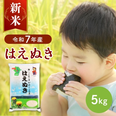 【令和7年産米】2025年12月中旬発送 はえぬき5kg 山形県産 【JAさがえ西村山】