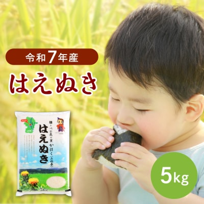 【令和7年産米】2026年2月中旬発送 はえぬき5kg 山形県産 【JAさがえ西村山】