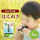 【令和7年産米】2026年4月中旬発送 はえぬき5kg 山形県産 【JAさがえ西村山】