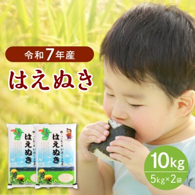 【令和7年産米】2026年2月中旬発送 はえぬき10kg 山形県産 【JAさがえ西村山】