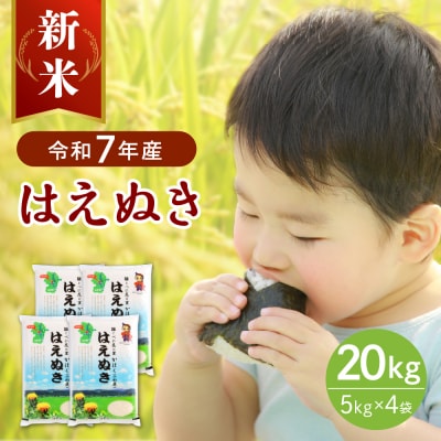 【令和7年産米】2025年11月中旬発送 はえぬき20kg 山形県産 【JAさがえ西村山】
