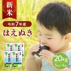 【令和7年産米】2025年12月中旬発送 はえぬき20kg 山形県産 【JAさがえ西村山】